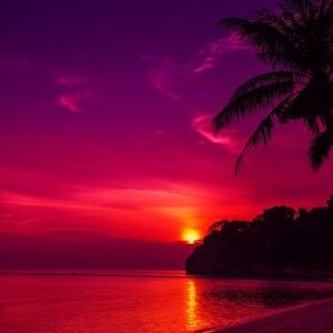 Meet your Posher, Fabiana